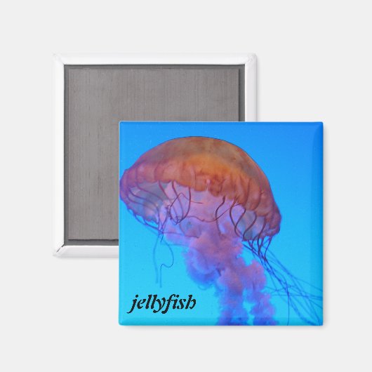 くらげ マグネット (正面/裏面)