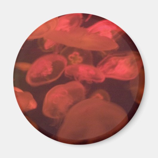 くらげ マグネット (正面)