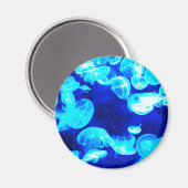 くらげ マグネット (正面/裏面)