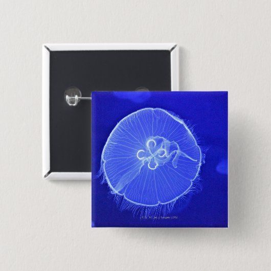 くらげ 缶バッジ (正面&裏面)