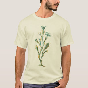 くらげ- Obeliaのgeniculata Tシャツ
