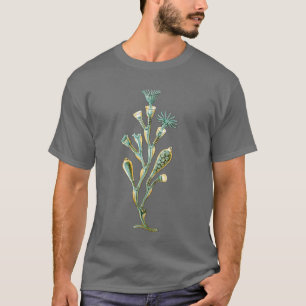 くらげ- Obeliaのgeniculata Tシャツ