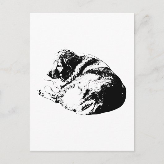 くるっとした黒いインクの犬がすべての人に安らぎのメモを送ります ポストカード (正面)