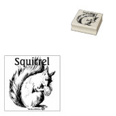 くるみのあるリスのかわいいスケッチ ラバースタンプ (押印)