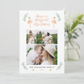 くるみ割り人形のバレリーナ植物3写真クリスマス (スタンド正面)