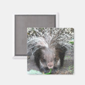 くるみ山嵐マグネット マグネット (正面/裏面)