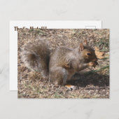 くるみ！!!秋の裏庭のリス ポストカード (正面/裏面)