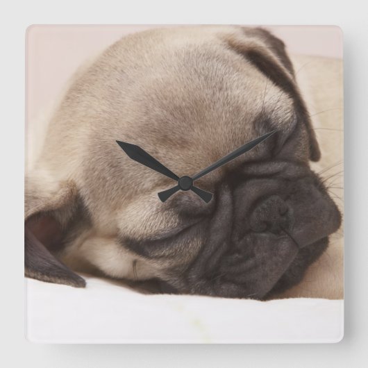 ぐっすり眠っている子犬 スクエア壁時計 (正面)