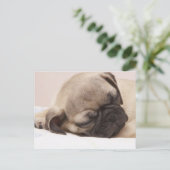 ぐっすり眠っている子犬 ポストカード (スタンド正面)