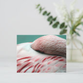 ぐっすり眠る ポストカード (スタンド正面)