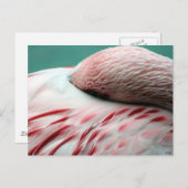 ぐっすり眠る ポストカード (正面/裏面)