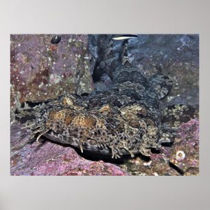 ぐらつくクローズアップ ポスター