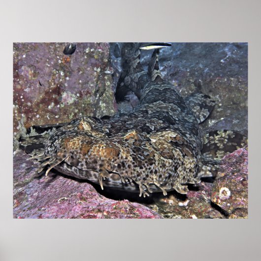 ぐらつくクローズアップ ポスター (正面)