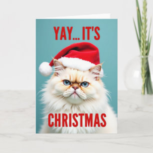 ぐるぐるサンタ猫のクリスマス カード