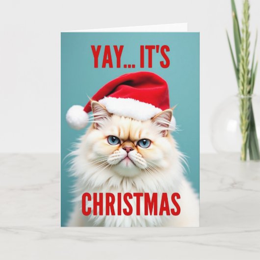 ぐるぐるサンタ猫のクリスマス カード (正面)