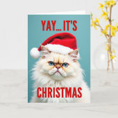 ぐるぐるサンタ猫のクリスマス カード (黄色い花)