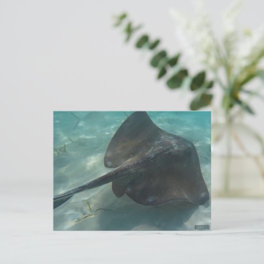 けちな ポストカード (スタンド正面)