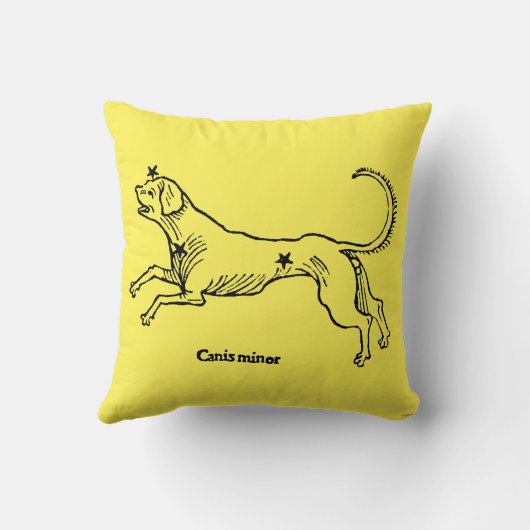 こいぬ座1482年 クッション (裏面)