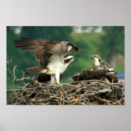 こういうのがうまくいくか ポスター