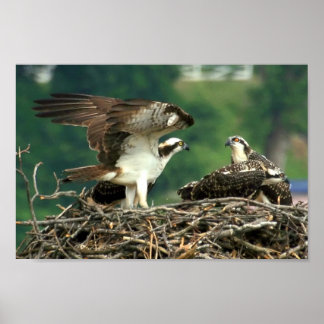 こういうのがうまくいくか ポスター