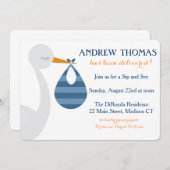 こうのとりのベビーの招待状/ベビーの発表 案内状 (正面/裏面)