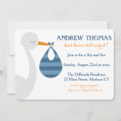 こうのとりのベビーの招待状/ベビーの発表 案内状 (正面)