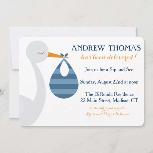 こうのとりのベビーの招待状/ベビーの発表 案内状 (正面)