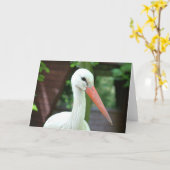 こうのとり カード (黄色い花)