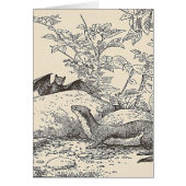 こうもりおよびミンク (正面)