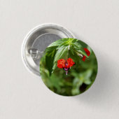 こうもりの顔の花ボタン 缶バッジ (正面&裏面)