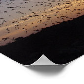 こうもりオンウィングアットカールスバードカーヴァンズ ポスター (角)