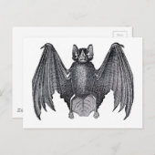 こうもりクラシック動物学的エッチング ポストカード (正面/裏面)