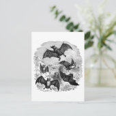 こうもりスケッチ ポストカード (スタンド正面)