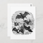 こうもりスケッチ ポストカード (正面/裏面)