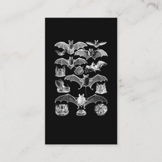 こうもりズナイトマイクロバットナイトビューキモーゴシック 名刺 (正面)