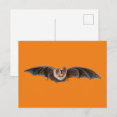 こうもりピピストレラスピストレラスイラストレーションオレンジ シーズンポストカード (正面/裏面)