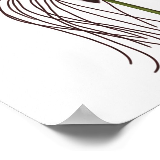 こうもりフラワーイラストレーション ポスター (角)