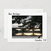 こうもりブリッジinオースティン,テキサス州ポストカード ポストカード (正面/裏面)