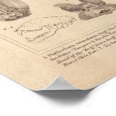 こうもりプリントフルーツこうもり及び長耳こうもり ポスター (角)