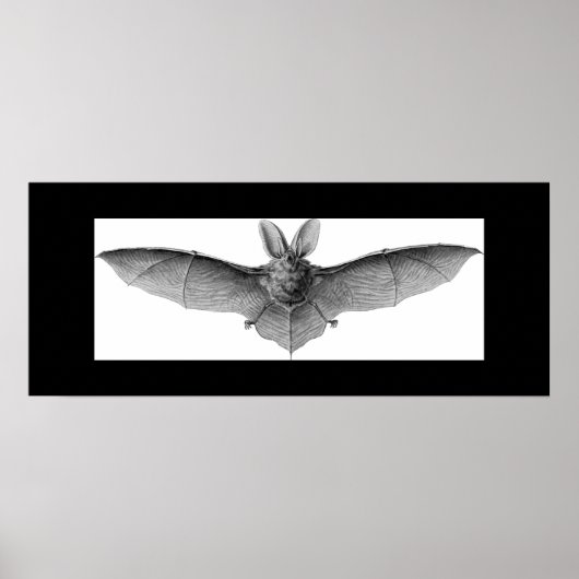こうもりポスター ポスター (正面)