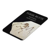 こうもり化石、化石バター国家記念物 マグネット (左側)