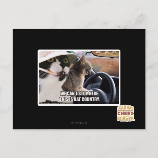 こうもり国 ポストカード (正面)