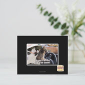 こうもり国 ポストカード (スタンド正面)