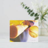 こうもり連絡野球 ポストカード (スタンド正面)