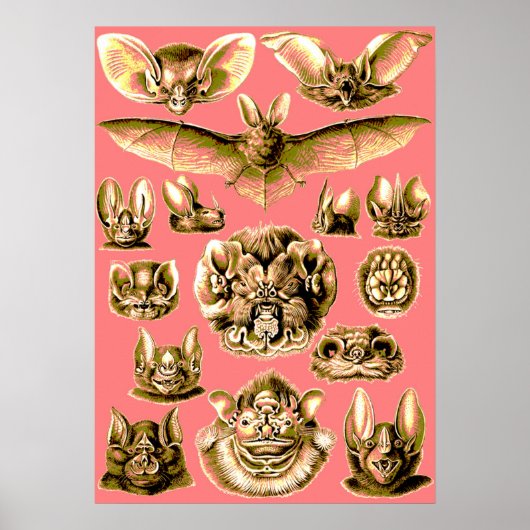 こうもり顔 ポスター (正面)