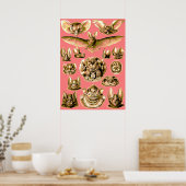 こうもり顔 ポスター (キッチン)