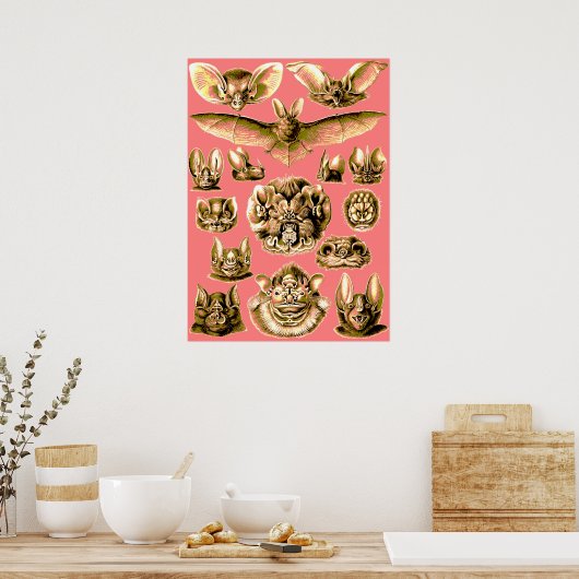 こうもり顔 ポスター (キッチン)