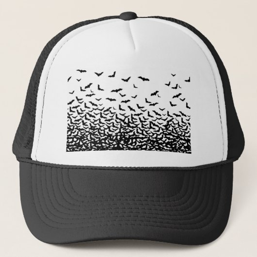 こうもり!こうもり! キャップ (正面)