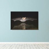 こうもり，アリゾナ キャンバスプリント (インサイチュ (ウッドフロア))