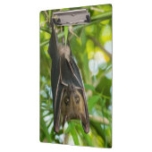 こうもり クリップボード (左)